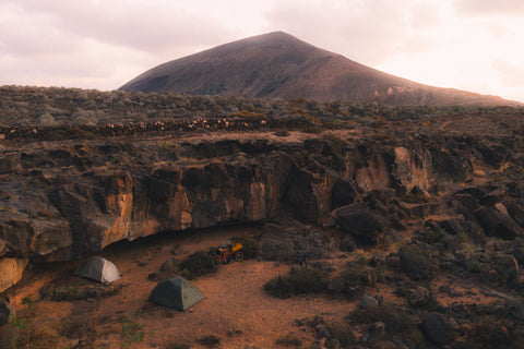 Into the Wild mit Adam Wilkoszarski