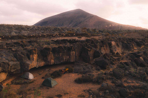 Into the Wild mit Adam Wilkoszarski