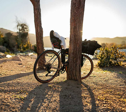 Rennrad mit Gepäcktaschen lehnt an einem Baum in einer sonnigen Wüstenlandschaft bei Sonnenuntergang.