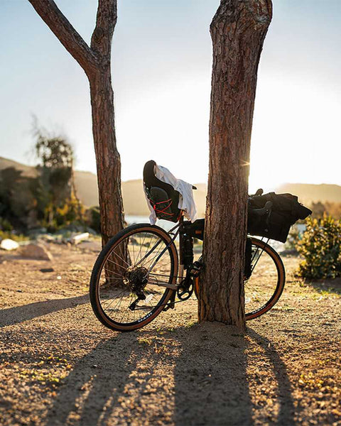 Fahrrad lehnt an einem Baum in sonniger Landschaft mit langen Schatten, Gepäcktaschen und Kinderfahrsitz sichtbar, im Hintergrund Berge und Vegetation bei Sonnenuntergang.