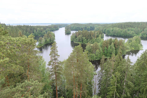 Fluss mit mehreren Inseln, umgeben von dichtem, grünem Nadel- und Mischwald in hügeliger Landschaft unter bewölktem Himmel.