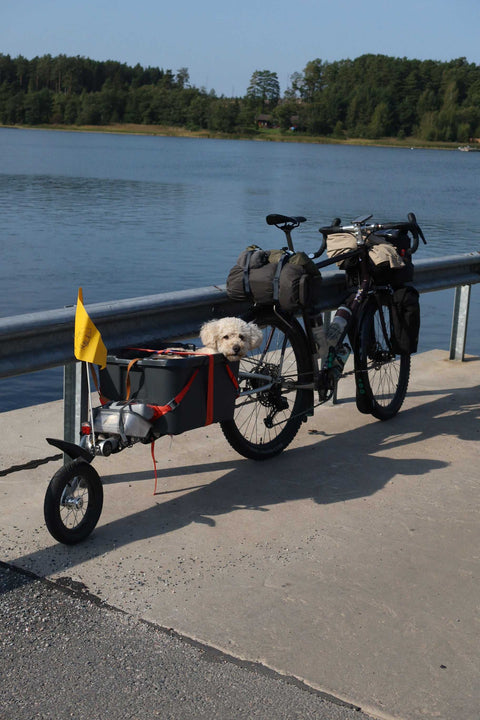 Ein voll bepacktes Reiserad mit Anhänger steht an einem Seeufer; im Anhänger sitzt ein kleiner weißer Hund neben Gepäck und einer gelben Fahne.