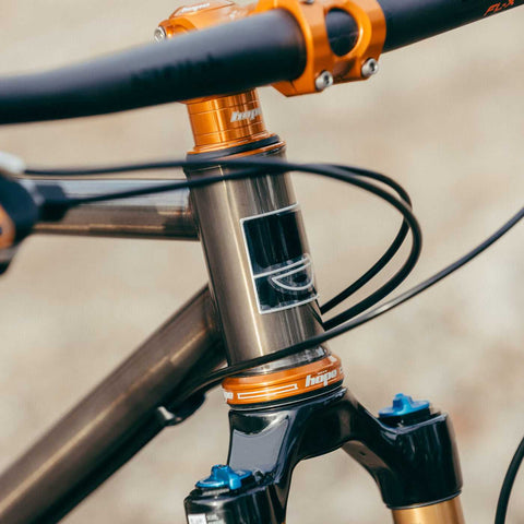 Detailansicht des Steuerrohrs mit Logo am Sour Pasta Party Bike, hochwertiges Mietrad für Outdoor-Fans.