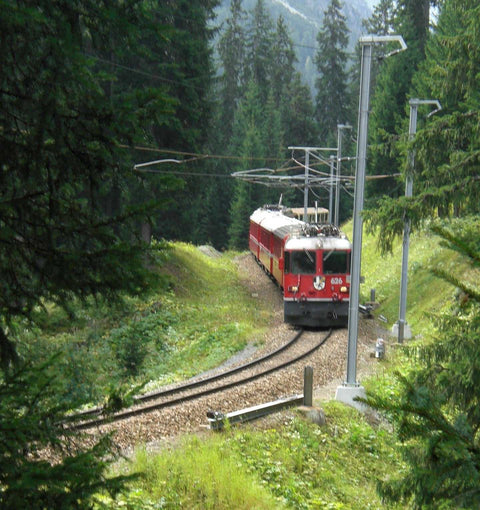 Roter Zug der Rhätischen Bahn fährt durch einen bewaldeten Abschnitt in den Schweizer Alpen, umgeben von Tannen und grüner Vegetation auf kurviger Bergstrecke.