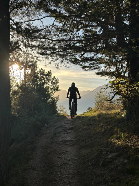 Alt-Text (Deutsch):  
Abenteuer-Radtour mit dem Pelago Stavanger durch Wald und Berge bei Sonnenuntergang.